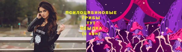 соль ск Аркадак