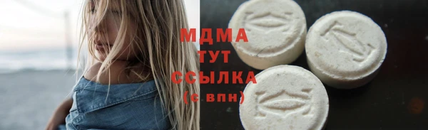 индика Алексин