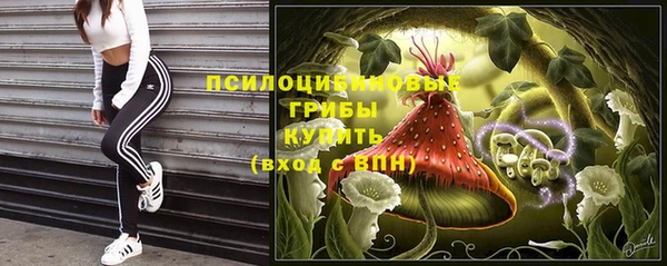 mix Арсеньев