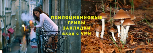 прущая мука Армянск