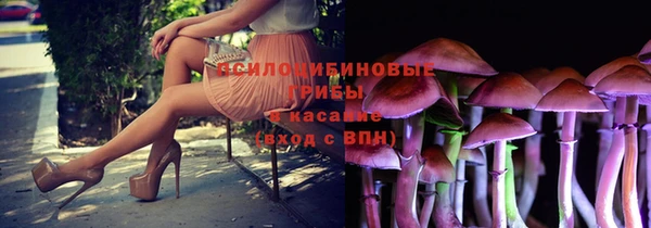 прущая мука Армянск